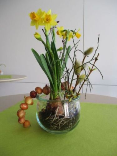 Osterglocken in einer Vase 